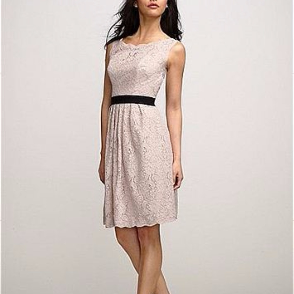 NWT Watters Knee Length Camellia Dress